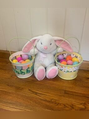 15” Plush Easter Bunny w/ 2 Metal Easter Baskets w/ Plastic Eggs
Smoke Free Home